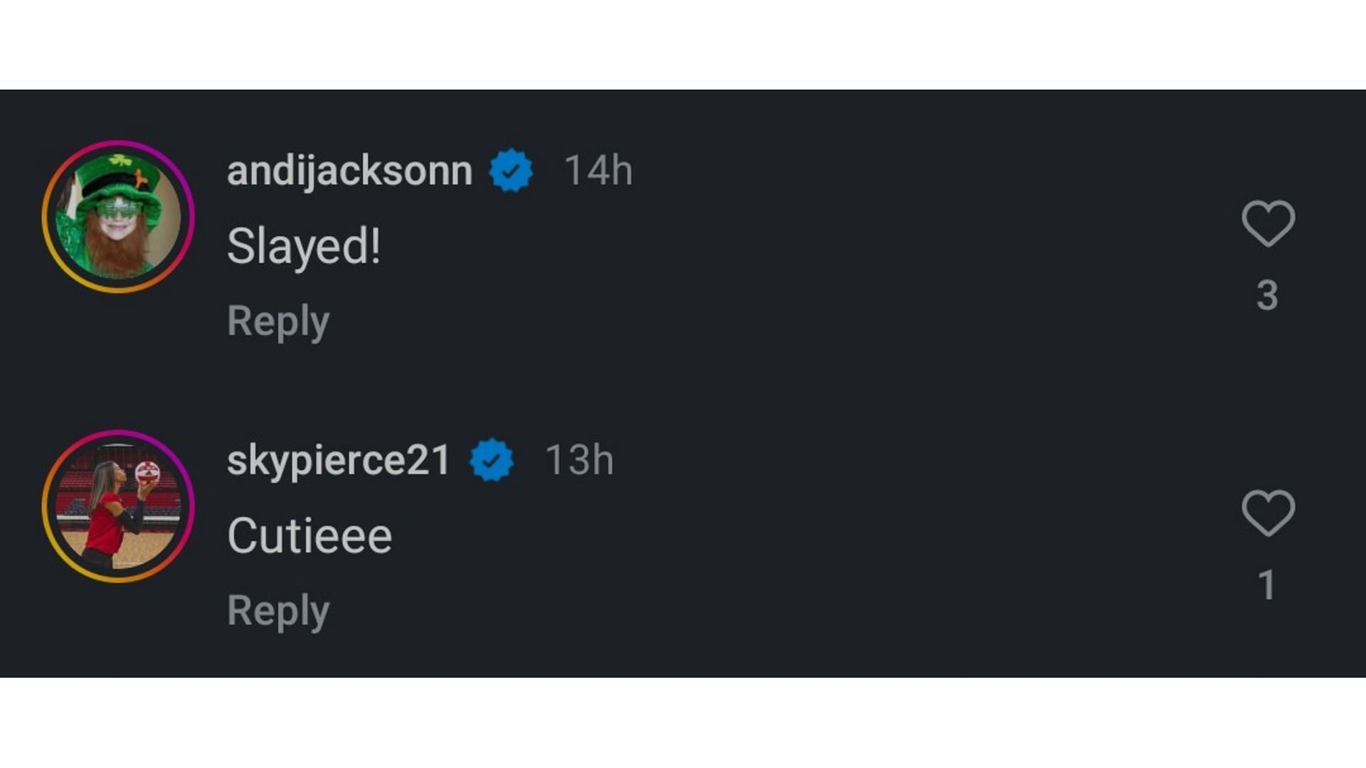 Jackson and Pierce's comment on Flynn's post (Image via: Flynn's Instagram)